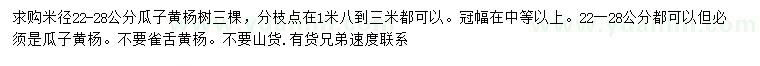 求購米徑22-28公分瓜子黃楊