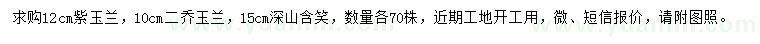 求購(gòu)紫玉蘭、二喬玉蘭、深山含笑