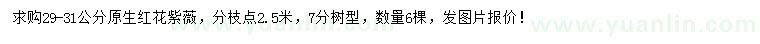 求購29-31公分紅花紫薇