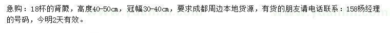 求購18杯的腎蕨