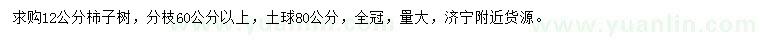 求購12公分柿子樹