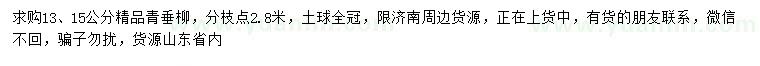 求購(gòu)13、15公分精品青垂柳
