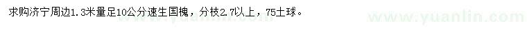 求購(gòu)1.3米量足10公分速生國(guó)槐