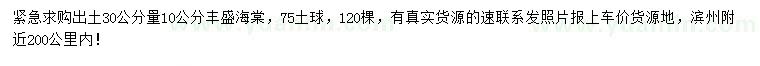 求購出土30公分量10公分豐盛海棠