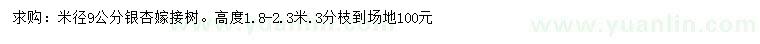求購(gòu)米徑9公分銀杏