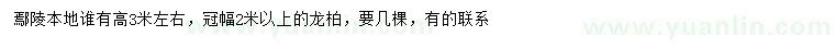 求購高3米左右龍柏