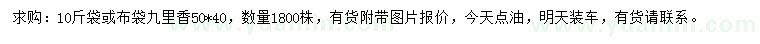 求購50*40公分九里香