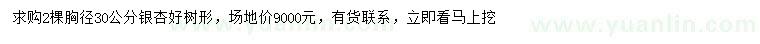 求購胸徑30公分銀杏