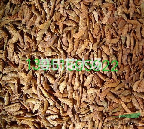 種植什么防止水土流失效果好？狗牙根高羊茅紫穗槐護(hù)坡經(jīng)濟(jì)實(shí)惠