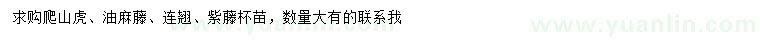 求購爬山虎、油麻藤、連翹等