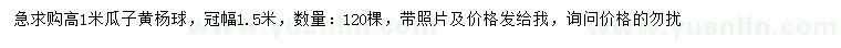 求購高1米瓜子黃楊球