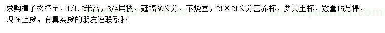 求購高1-1.2米樟子松