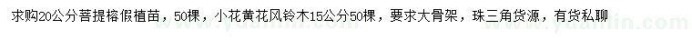 求購20公分菩提榕、15公分小花黃花風鈴木