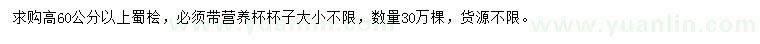 求購(gòu)高60公分以上蜀檜