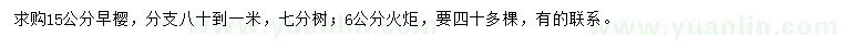求購(gòu)15公分早櫻、6公分火炬