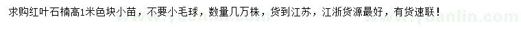 求購高1米紅葉石楠