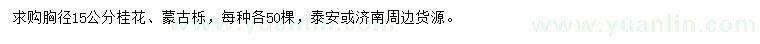 求購(gòu)胸徑15公分桂花、蒙古櫟