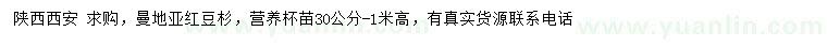 求購高30-100公分曼地亞紅豆杉