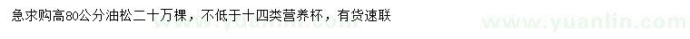 求購高80公分油松