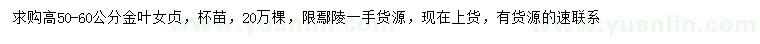 求購高50-60公分金葉女貞