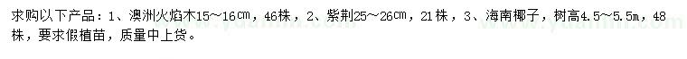 求購澳洲火焰木、紫荊、海南椰子