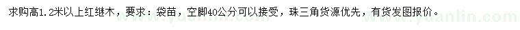 求購(gòu)高1.2米以上紅繼木
