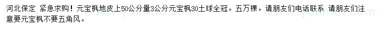 求購50量3公分元寶楓
