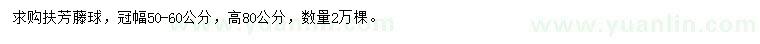 求購冠幅50-60公分扶芳藤球