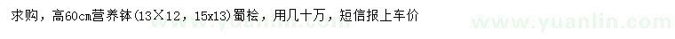 求購(gòu)高60公分蜀檜