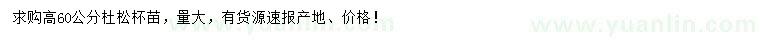 求購(gòu)高60公分杜松