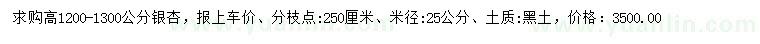 求購米徑25公分銀杏