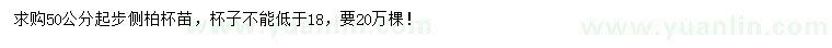 求購50公分起步側(cè)柏