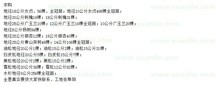 求購女貞、刺槐、廣玉蘭等