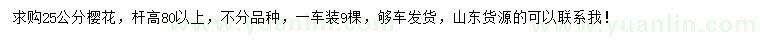 求購25公分櫻花