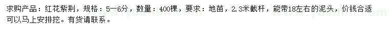 求購5-6公分紅花紫荊