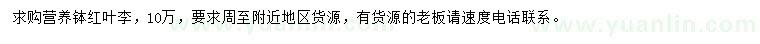 求購紅葉李