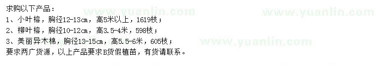 求購小葉榕、柳葉榕、美麗異木棉