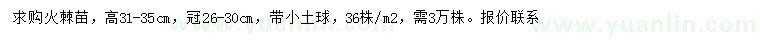 求購高31-35公分火棘苗