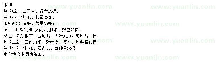 求購(gòu)白玉蘭、紅楓、臘梅等