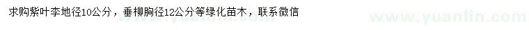 求購地徑10公分紫葉李、胸徑12公分垂柳