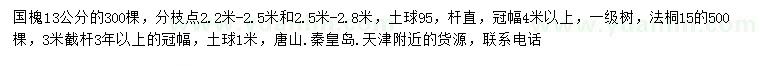 求購13公分國槐、15公分法桐