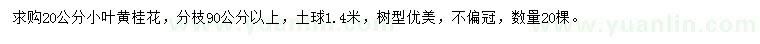 求購20公分小葉黃桂花