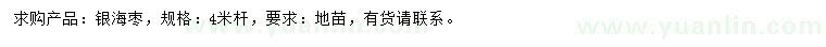 求購4米銀海棗