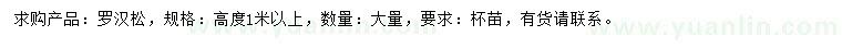 求購(gòu)高度1米以上羅漢松