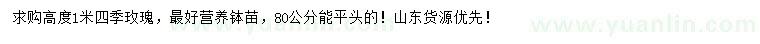 求購高1米四季玫瑰