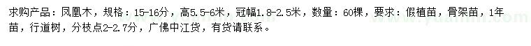 求購15-16分鳳凰木