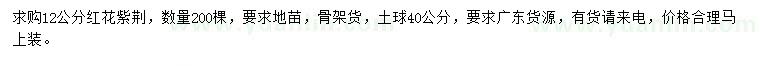 求購12公分紅花紫荊
