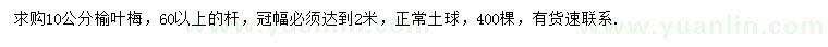 求購10公分榆葉梅
