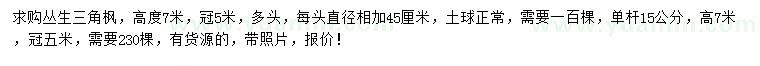 求購高度7米叢生三角楓