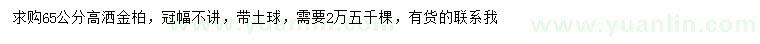 求購高65公分灑金柏